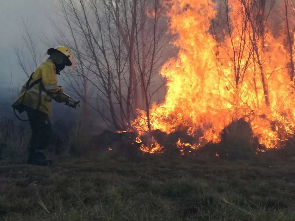 Los incendios en las chacras provocan importantes erogaciones a los cuarteles de bomberos.