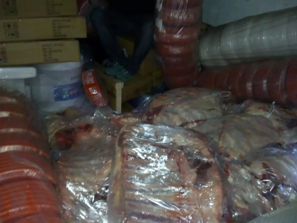 Secuestraron 1800 kilos de carne con hueso que iban a Bariloche