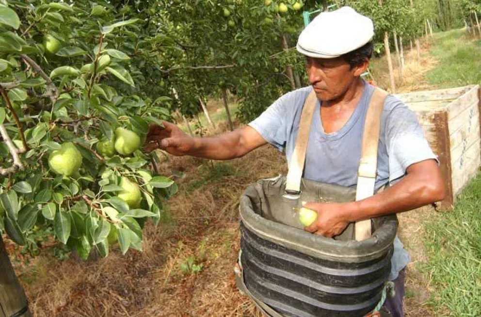 Alivio: Las peras y manzanas vuelven a entrar al mercado brasileño