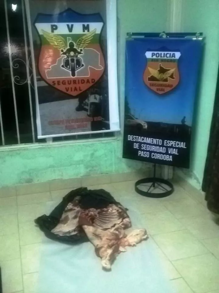 Más secuestros producto de la faena ilegal en Paso Córdoba