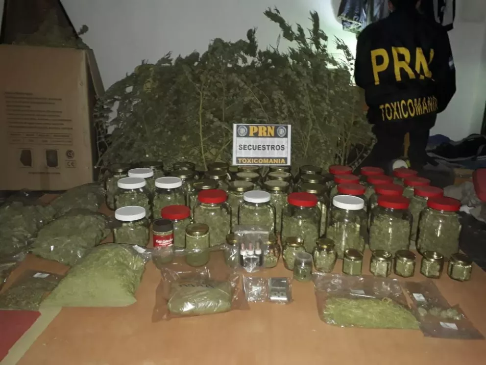 El personal policial se sorprendió por la cantidad de cogollos de marihuana.