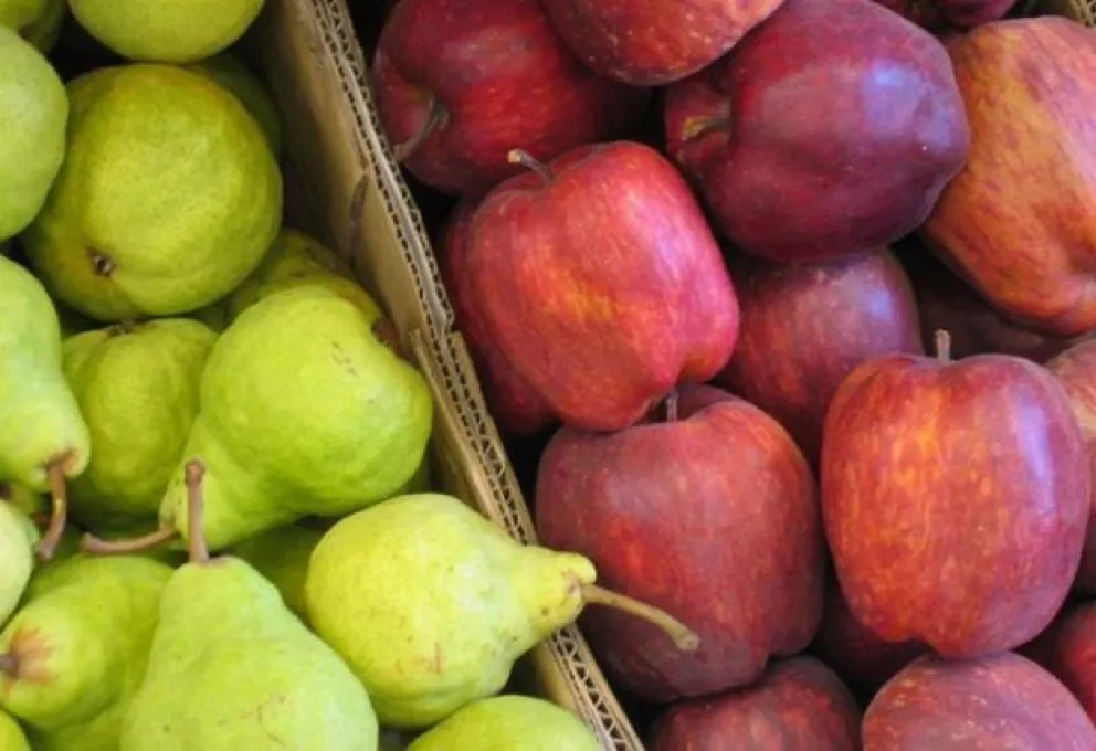 Soria quiere "precios cuidados" para manzanas y peras
