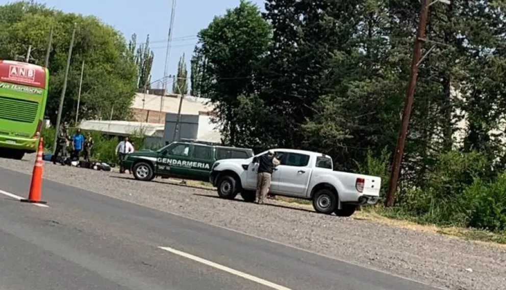 Antidrogas: Gendarmería detuvo colectivos en el ingreso a Roca
