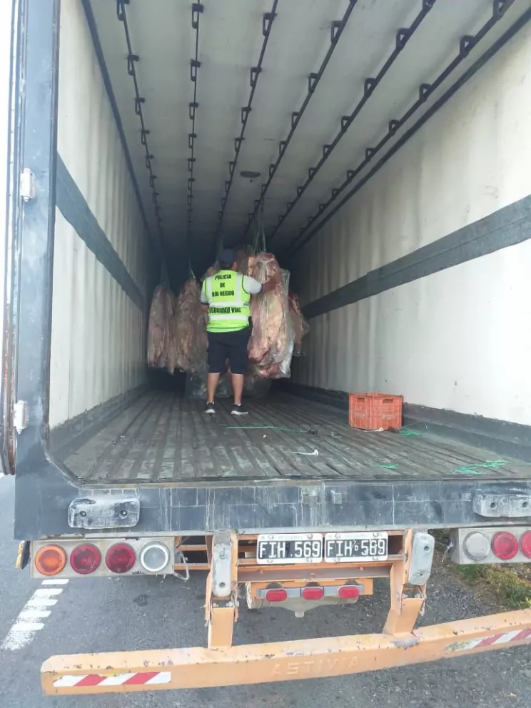 Secuestran más de 6 toneladas de carne sobre la ruta 22