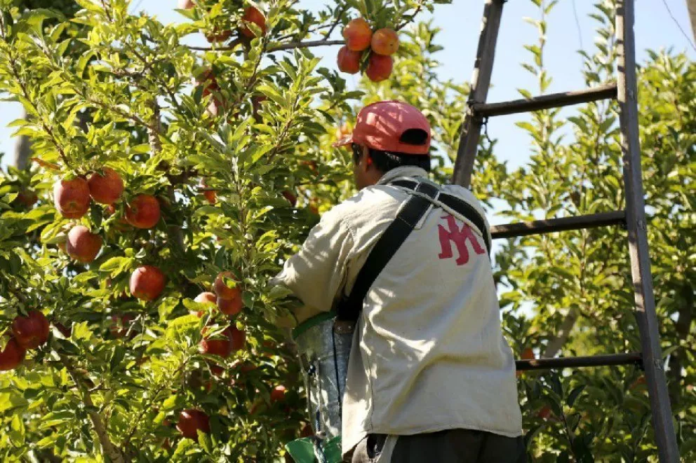 El Gobierno dispone líneas de financiamiento para productores frutícolas