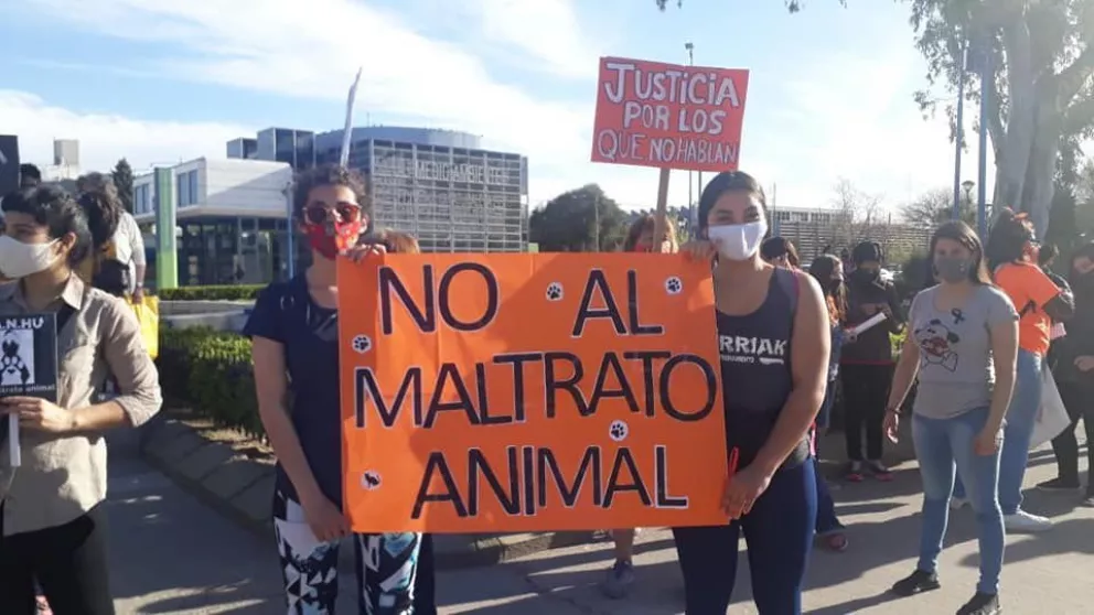 Marcha y entrega de petitorio contra el Maltrato Animal en Roca