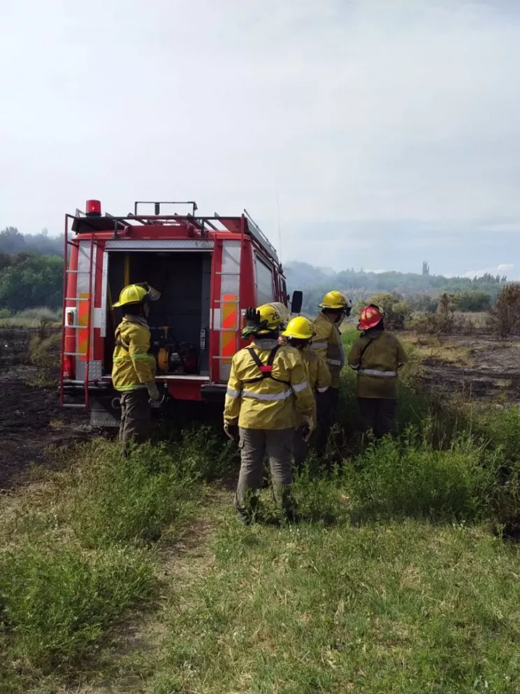 Incendio de pastizales y más de cuatro horas de trabajo de bomberos
